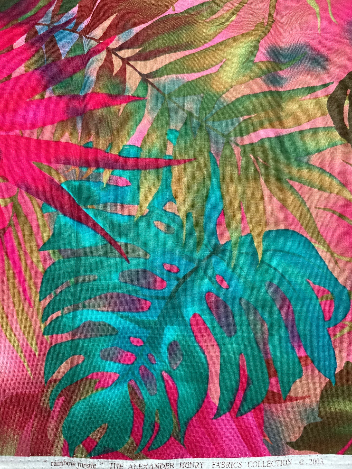 “rainbow jungle”