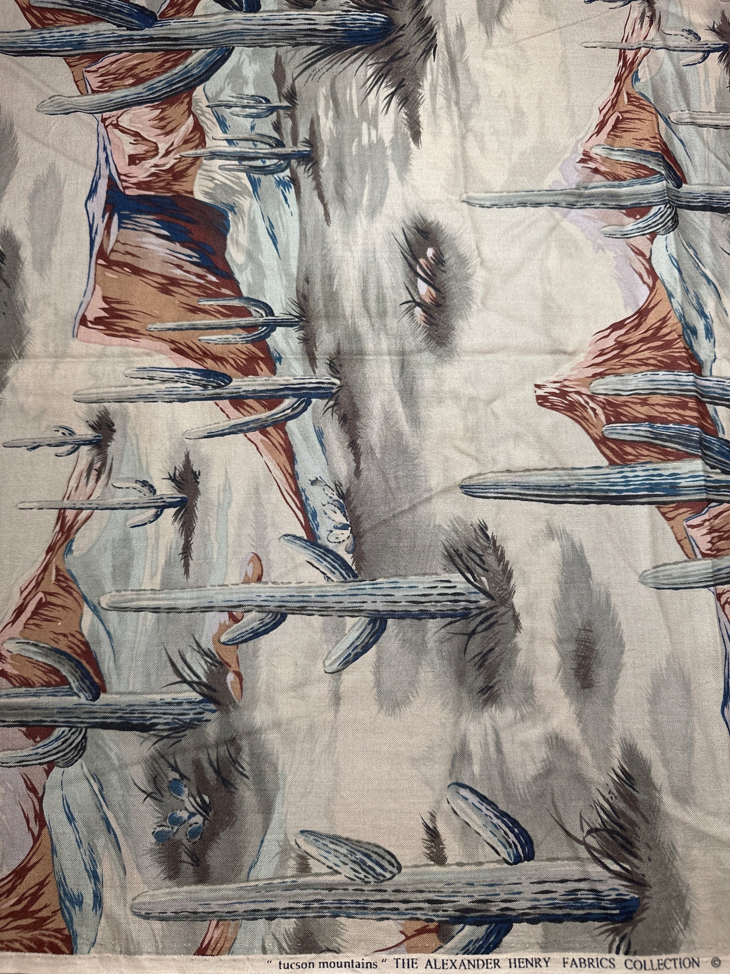 “tucson mountains”