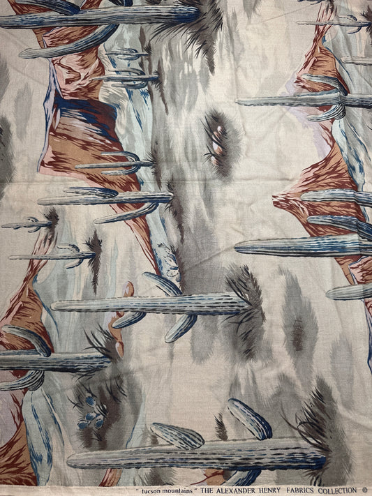 “tucson mountains”