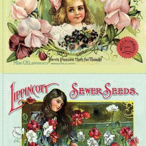 Sewing Seeds III Pillow Sham Panel